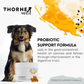 ThorneVet Probiotic Support | Soil-Based Dog Probiotics for Gut Health