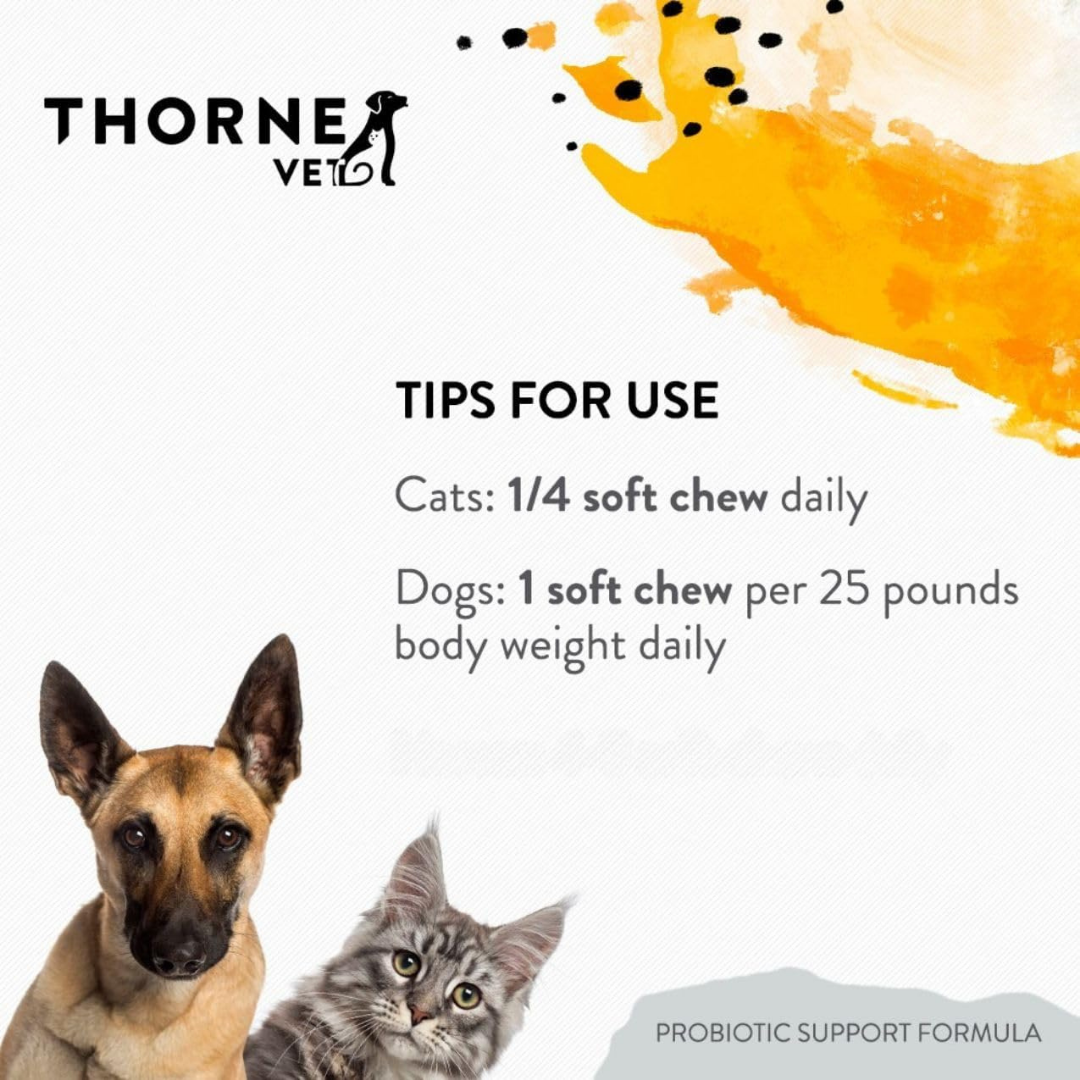 ThorneVet Probiotic Support | Soil-Based Dog Probiotics for Gut Health