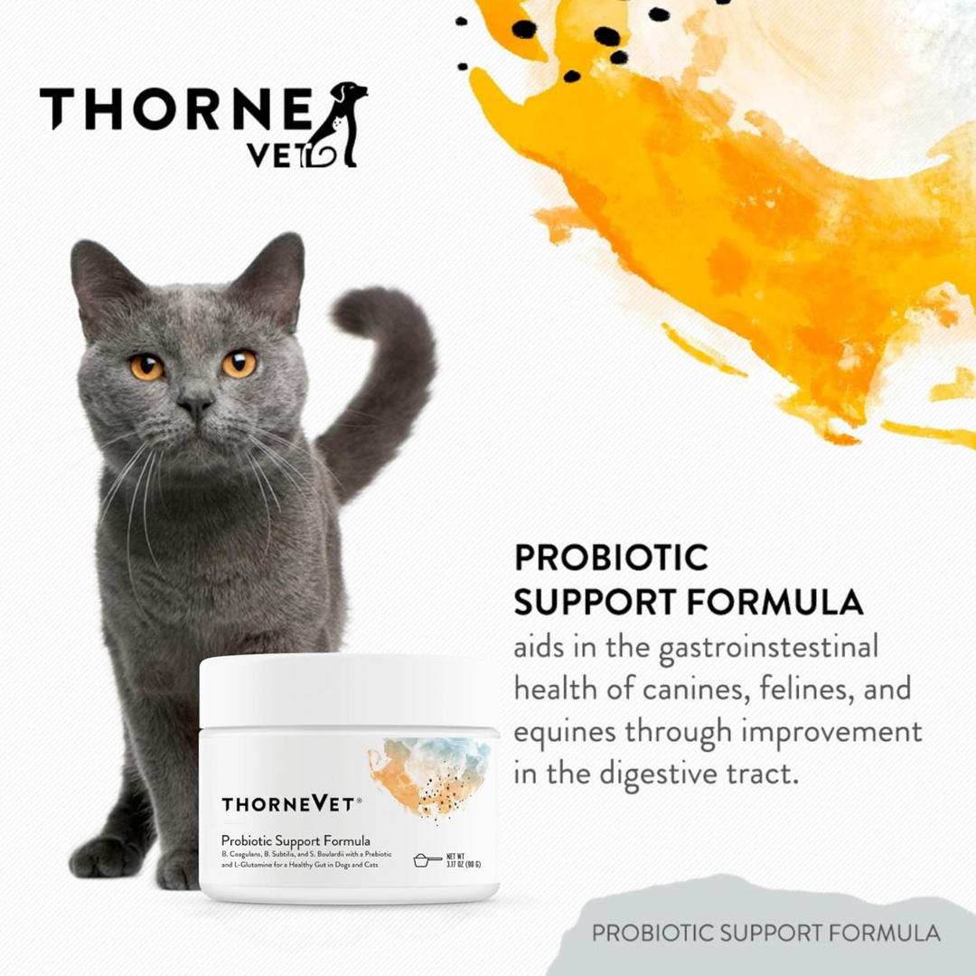 ThorneVet Probiotic Support | Soil-Based Dog Probiotics for Gut Health