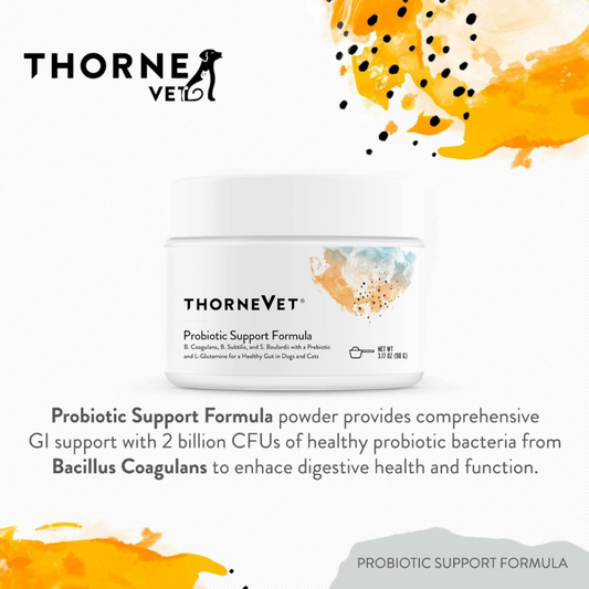 ThorneVet Probiotic Support | Soil-Based Dog Probiotics for Gut Health