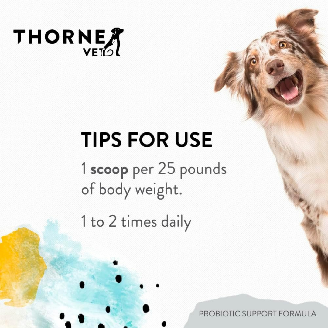 ThorneVet Probiotic Support | Soil-Based Dog Probiotics for Gut Health