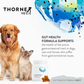 ThorneVet Gut Health | Comprehensive Digestive Support