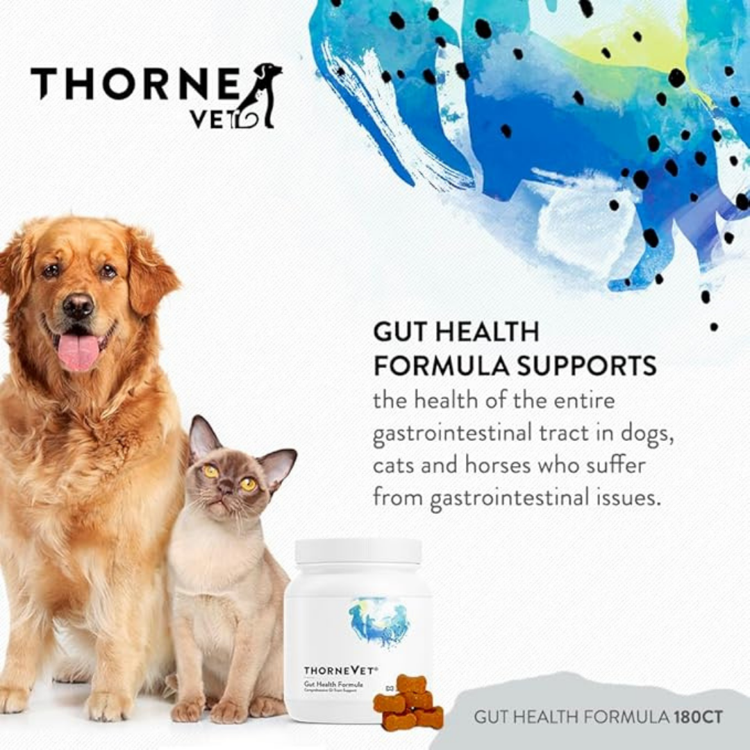 ThorneVet Gut Health | Comprehensive Digestive Support