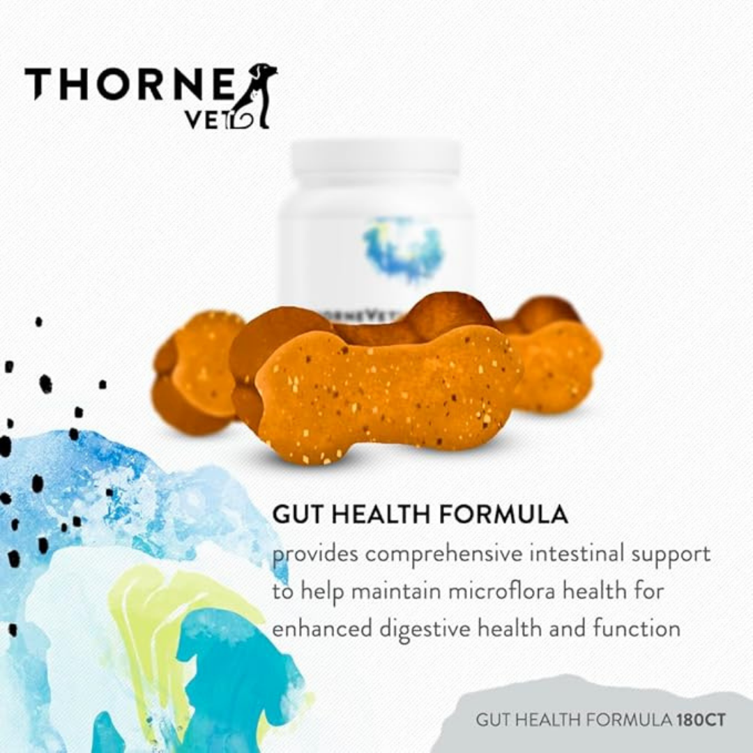ThorneVet Gut Health | Comprehensive Digestive Support