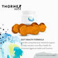 ThorneVet Gut Health | Comprehensive Digestive Support
