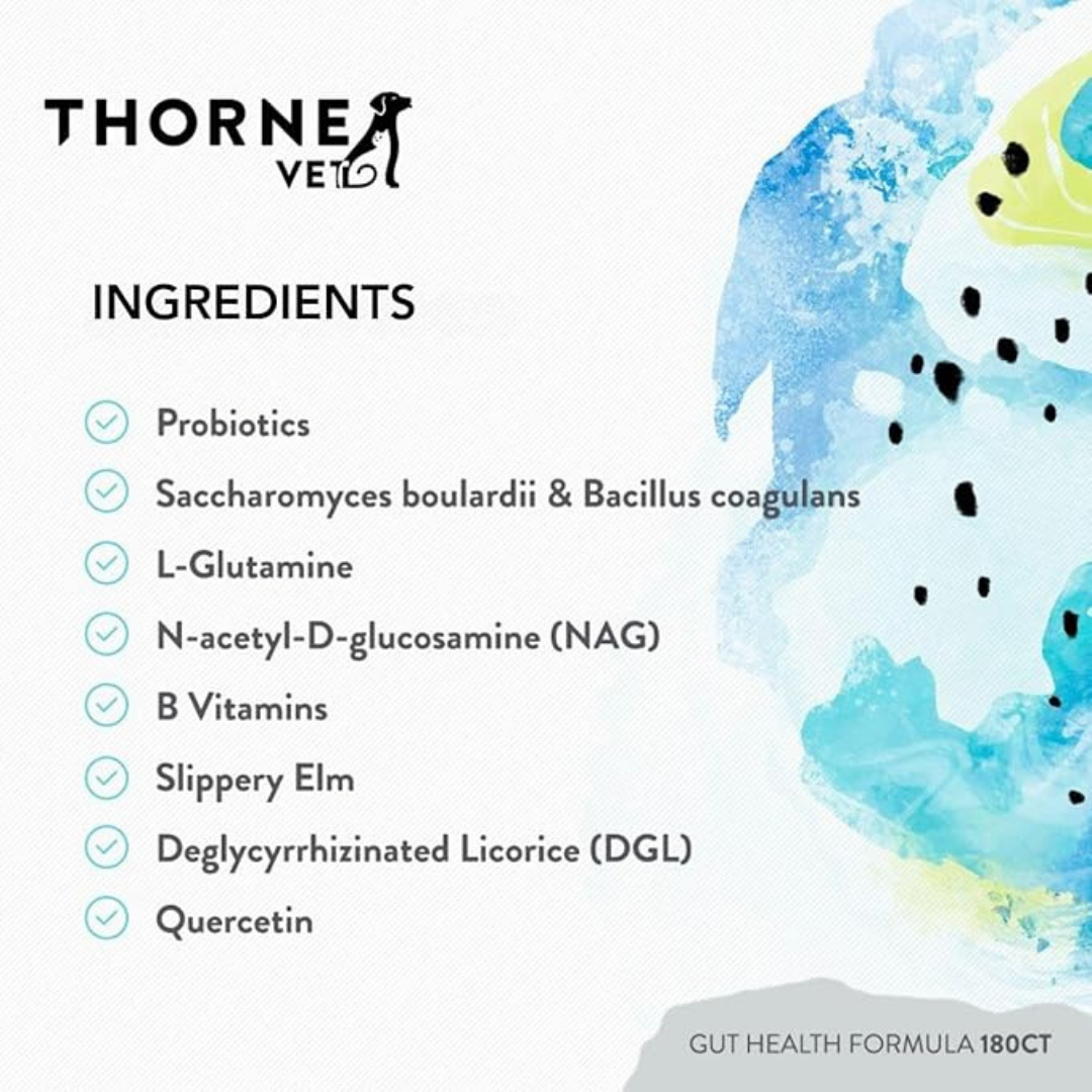 ThorneVet Gut Health | Comprehensive Digestive Support