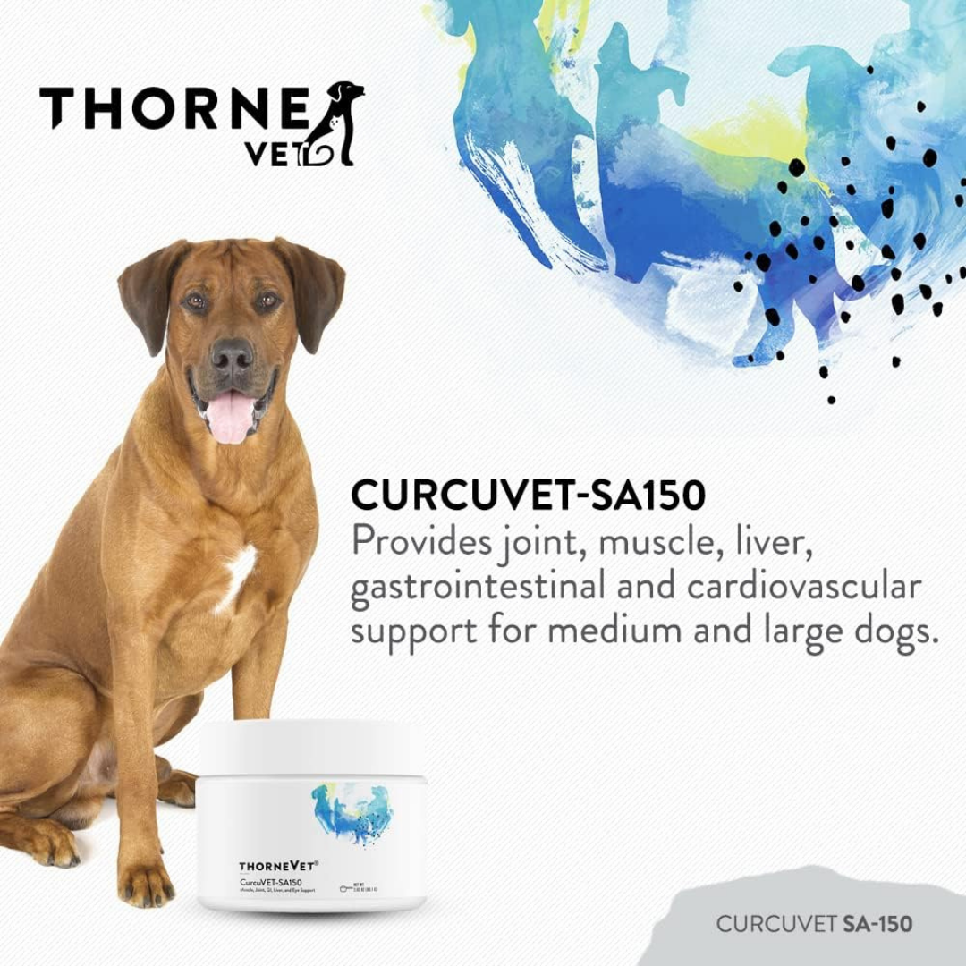 ThorneVet CurcuVET | Natural Inflammation Support + Joint Health
