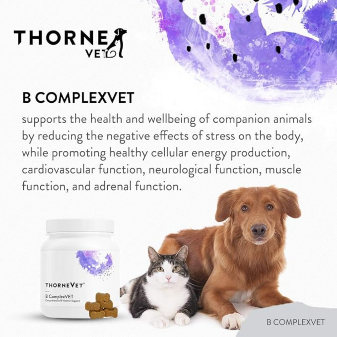 ThorneVet B-Complex Chews | Bioavailable B Vitamin Support