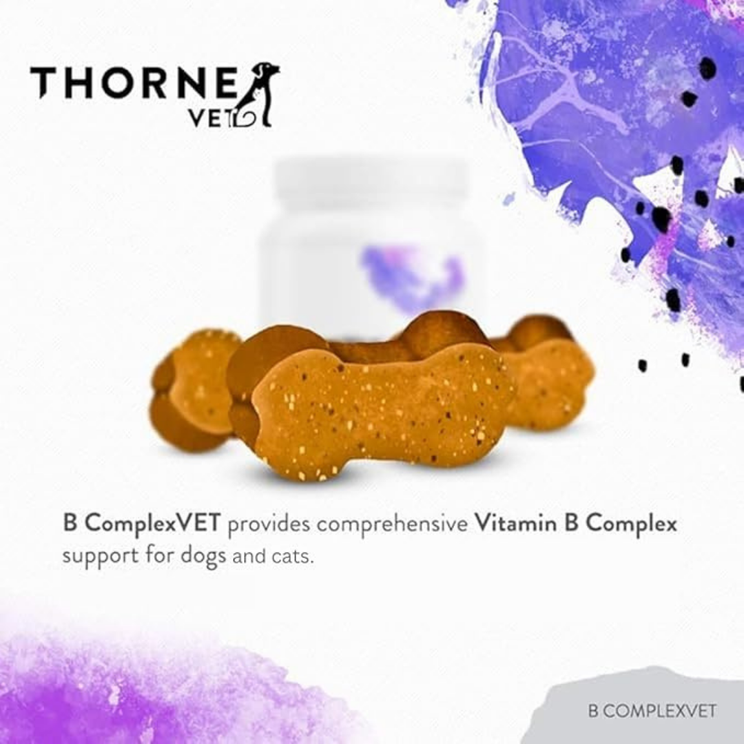 ThorneVet B-Complex Chews | Bioavailable B Vitamin Support