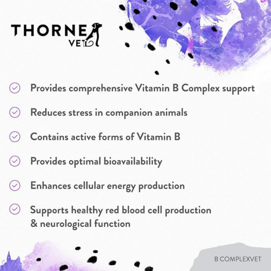 ThorneVet B ComplexVet | Active B Vitamins for Dogs