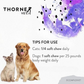 ThorneVet B ComplexVet | Active B Vitamins for Dogs