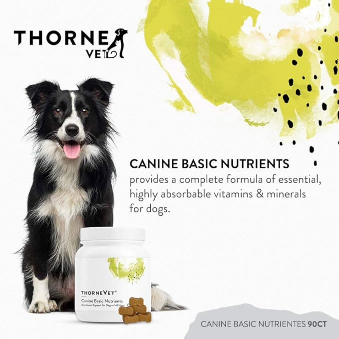 ThorneVet Canine Basic Nutrients | Comprehensive Multivitamin
