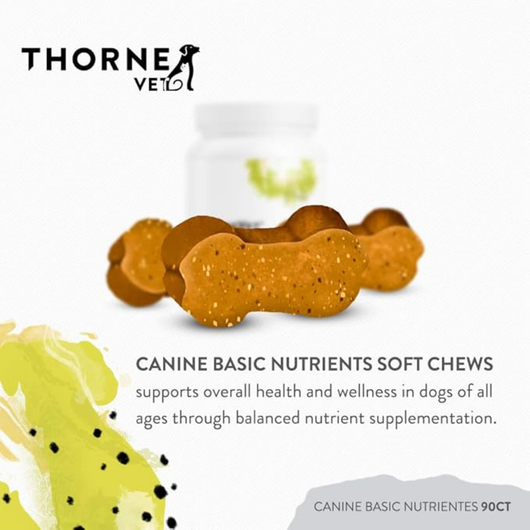 ThorneVet Canine Basic Nutrients | Comprehensive Multivitamin