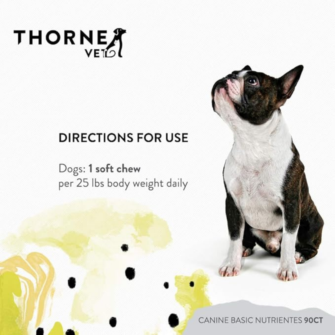 ThorneVet Canine Basic Nutrients | Comprehensive Multivitamin