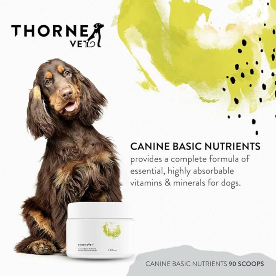 ThorneVet Canine Basic Nutrients | Comprehensive Multivitamin