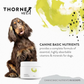 ThorneVet Canine Basic Nutrients | Comprehensive Multivitamin