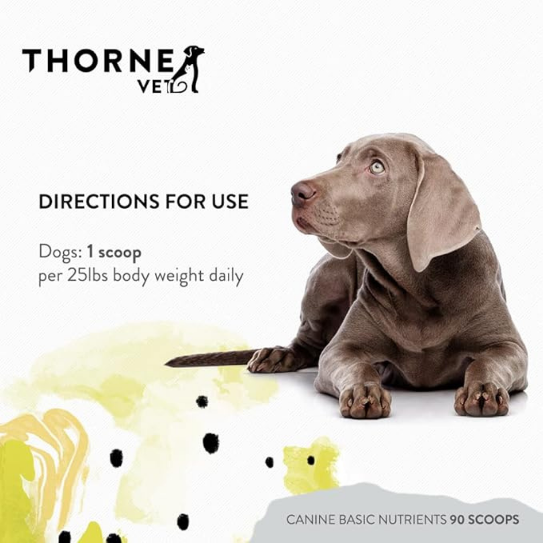 ThorneVet Canine Basic Nutrients | Comprehensive Multivitamin