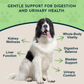 Animal Essentials Dandelion | Supports Healthy Liver + Gut Function