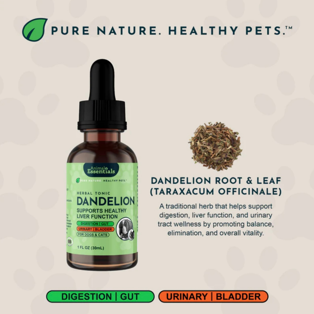 Animal Essentials Dandelion | Supports Healthy Liver + Gut Function