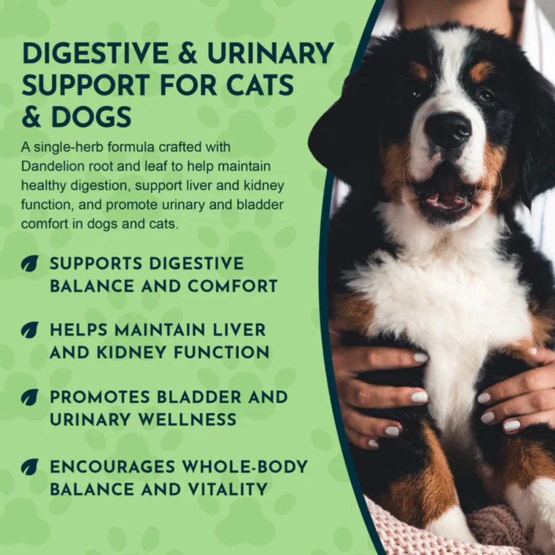 Animal Essentials Dandelion | Supports Healthy Liver + Gut Function