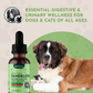 Dandelion Herbal Tonic | Organic Liver + Kidney Support