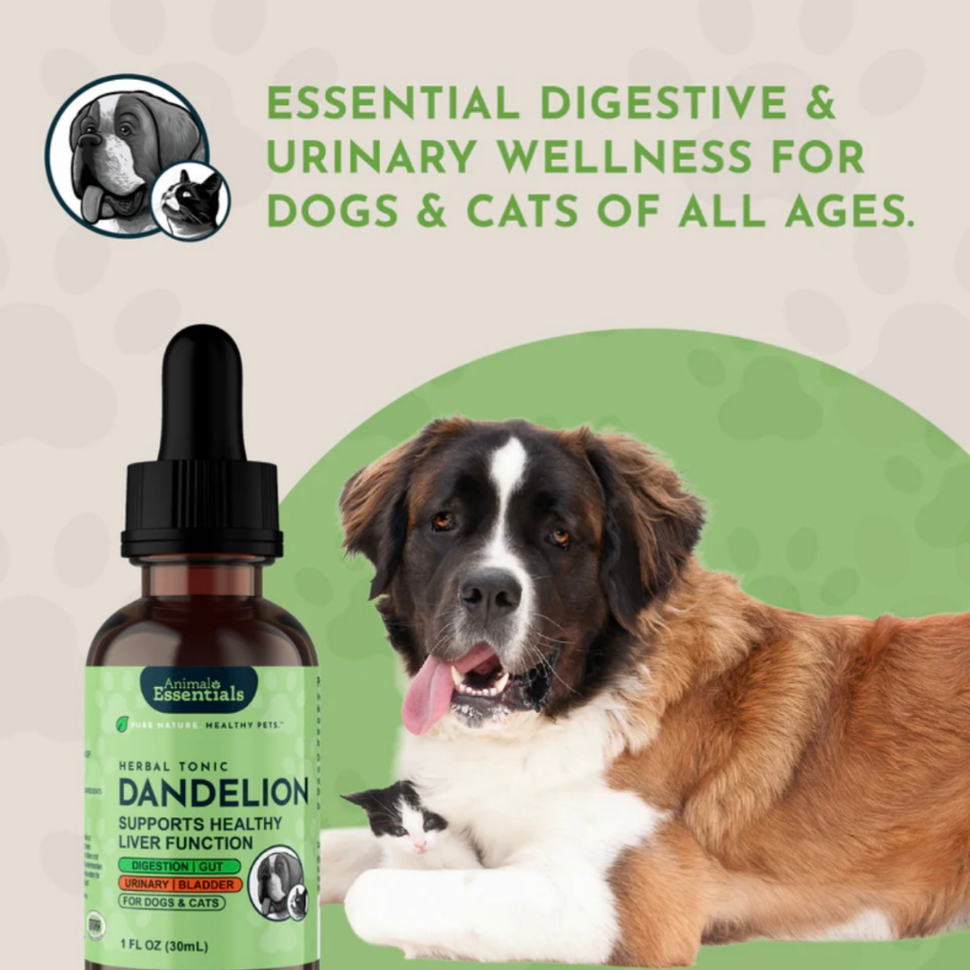 Animal Essentials Dandelion | Supports Healthy Liver + Gut Function