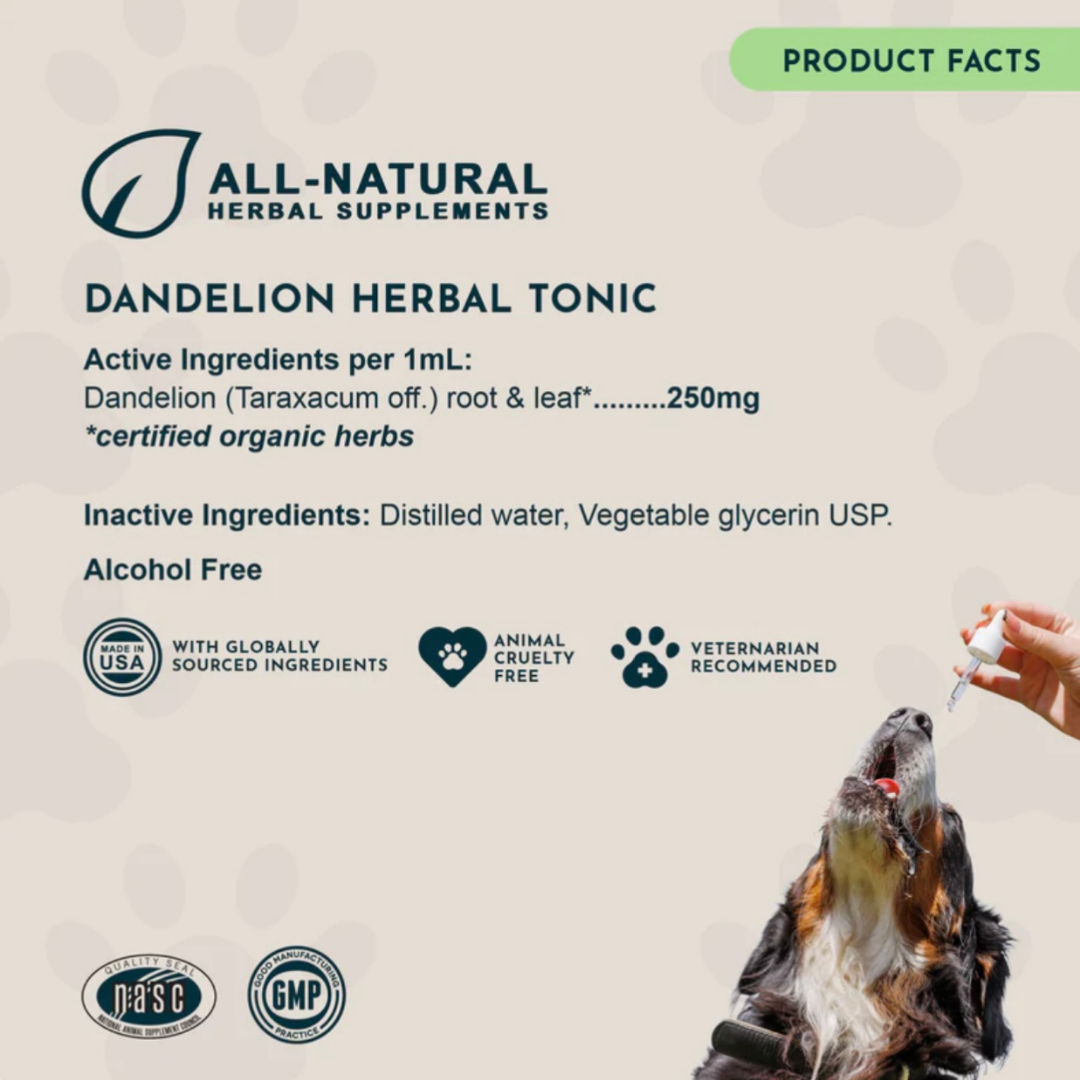 Animal Essentials Dandelion | Supports Healthy Liver + Gut Function
