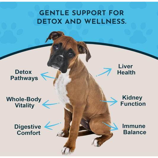 Animal Essentials Detox Blend | Herbal Liver + Kidney Cleanse