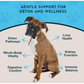 Animal Essentials Detox Blend | Herbal Liver + Kidney Cleanse