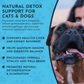 Animal Essentials Detox Blend | Herbal Liver + Kidney Cleanse