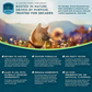 Animal Essentials Astragalus | Immune + Kidney Support