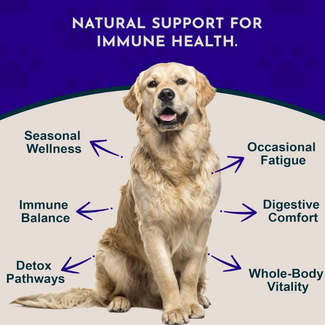 Animal Essentials Resist & Renew | Immune Boost + Seasonal Wellness