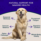 Animal Essentials Resist & Renew | Immune Boost + Seasonal Wellness