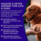 Animal Essentials Resist & Renew | Immune Boost + Seasonal Wellness