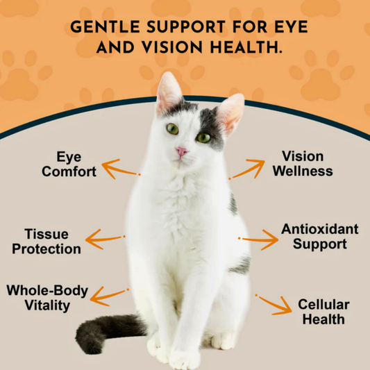 Animal Essentials Eye Defense | Natural Vision + Eye Health Support