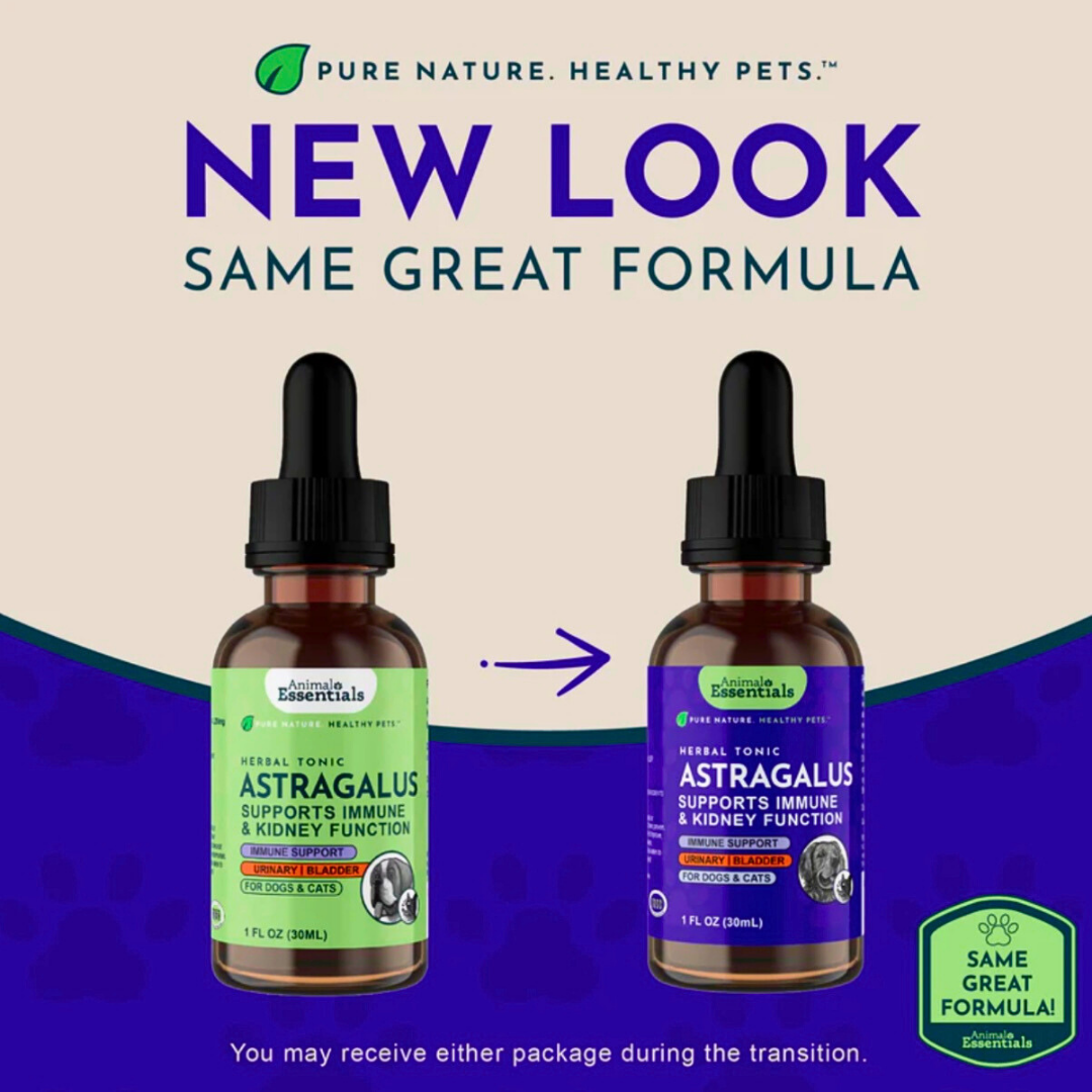 Animal Essentials Astragalus | Immune + Kidney Support