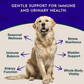 Animal Essentials Astragalus | Immune + Kidney Support