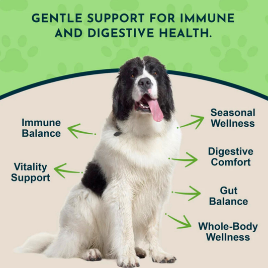 Animal Essentials Garlic | Immune Support + Natural Pest Repellent