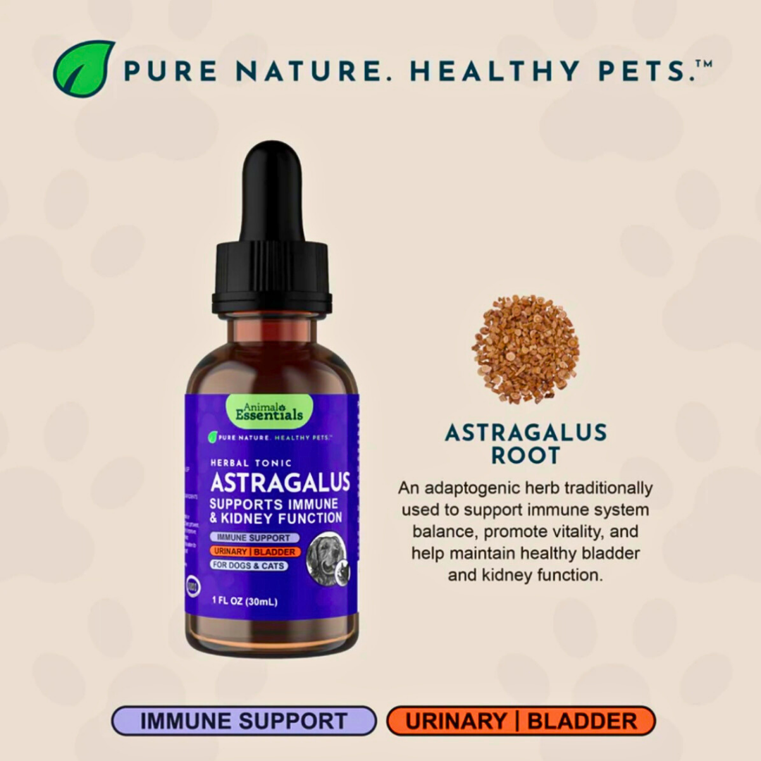 Animal Essentials Astragalus | Immune + Kidney Support