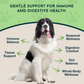 Animal Essentials Goldenseal | Promotes Resistance to Pathogens