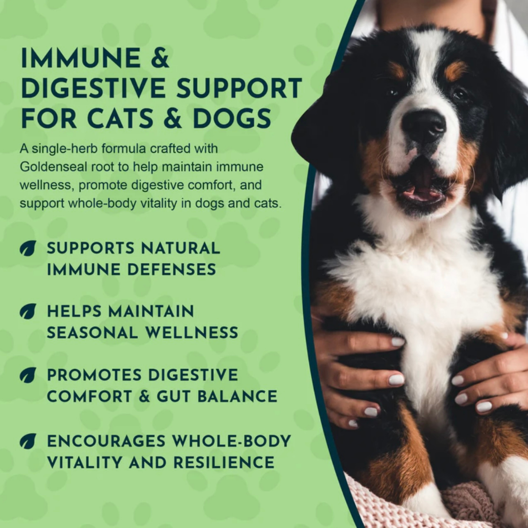 Animal Essentials Goldenseal | Promotes Resistance to Pathogens
