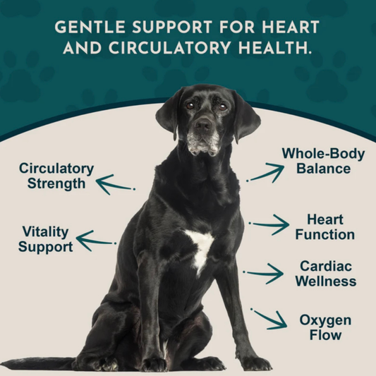 Animal Essentials Hawthorn Berry | Heart Support