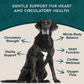 Animal Essentials Hawthorn Berry | Heart Support
