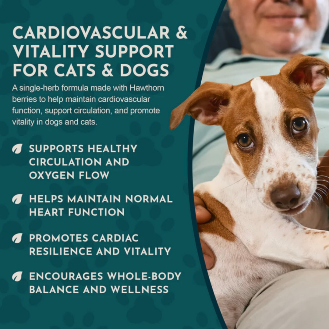 Animal Essentials Hawthorn Berry | Heart Support