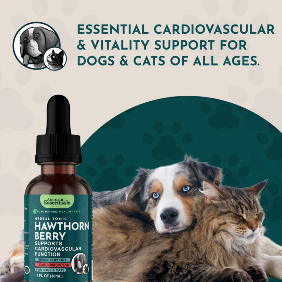 Animal Essentials Hawthorn Berry | Heart Support