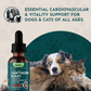 Animal Essentials Hawthorn Berry | Heart Support