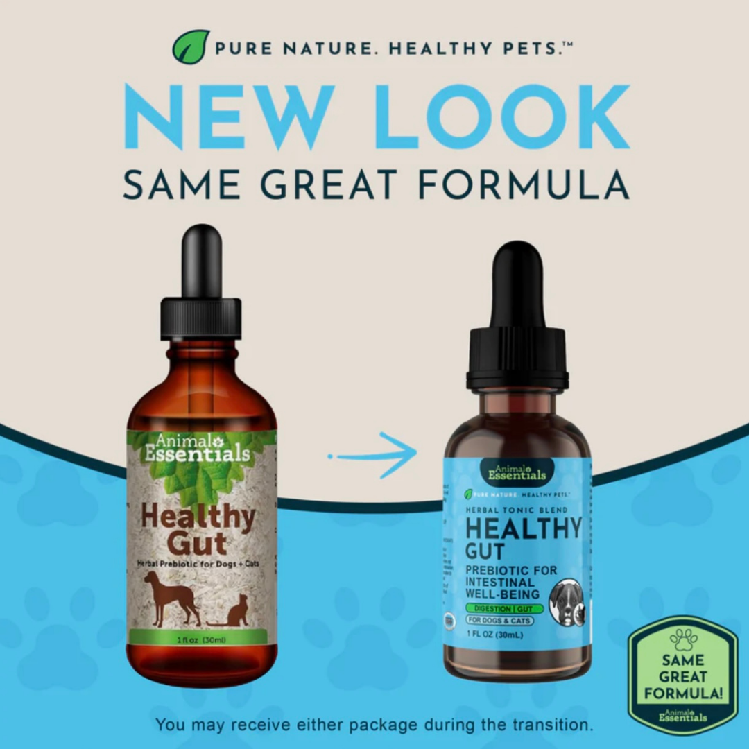Animal Essentials Healthy Gut | Digestive Health + Microbiome Support