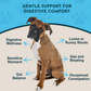 Animal Essentials Healthy Gut | Digestive Health + Microbiome Support