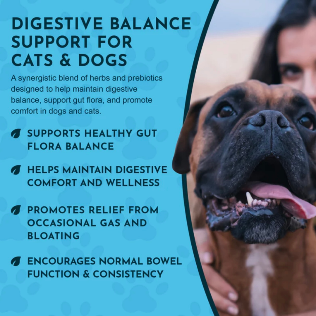 Animal Essentials Healthy Gut | Digestive Health + Microbiome Support