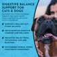 Animal Essentials Healthy Gut | Digestive Health + Microbiome Support